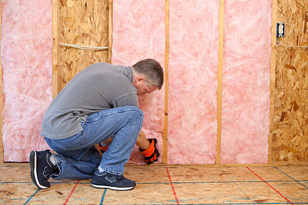 Best Cellulose Insulation in Beulah, ND