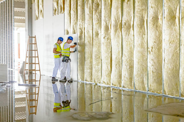 Best Specialized Insulation Services in Beulah, ND